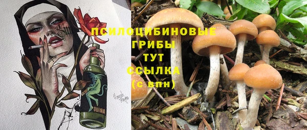 марки nbome Алзамай