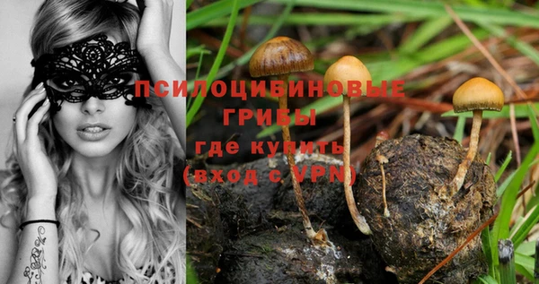 дурь Аркадак