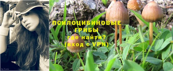 дурь Аркадак