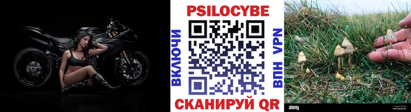 гидра как войти  Курган  Галлюциногенные грибы прущие грибы  как найти закладки 